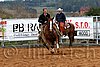 QH062_1508n.jpg