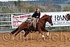 QH062_1511n.jpg