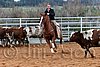 QH062_1514n.jpg