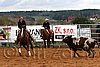 QH062_1517n.jpg