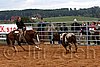 QH062_1521n.jpg