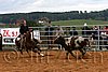 QH062_1522n.jpg