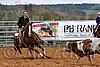 QH062_1532n.jpg