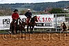 QH062_1561n.jpg