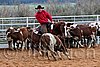 QH062_1565n.jpg