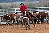 QH062_1566n.jpg