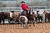 QH062_1569n.jpg