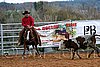 QH062_1574n.jpg