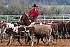 QH062_1575n.jpg