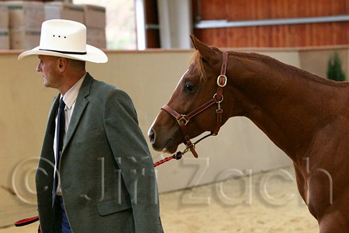 QH062_0228n.jpg