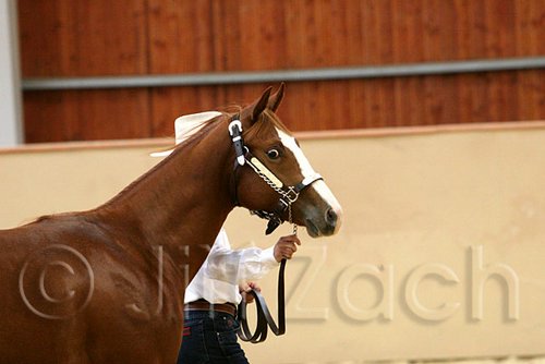 QH062_0231n.jpg