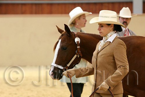 QH062_0235n.jpg