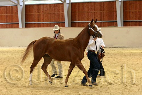 QH062_0240n.jpg