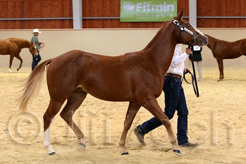 QH062_0241n.jpg