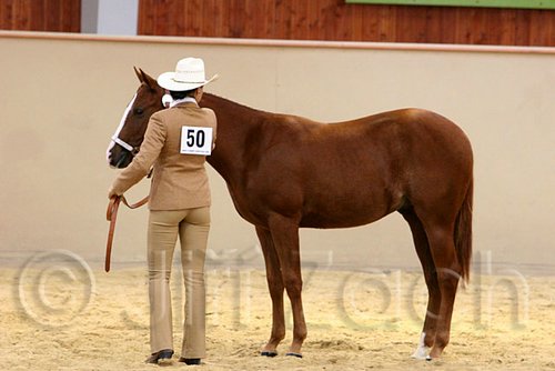 QH062_0243n.jpg