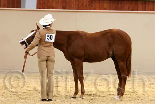 QH062_0244n.jpg