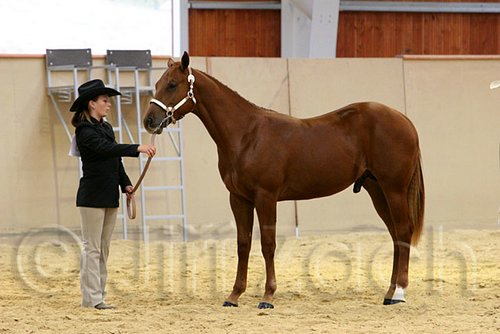 QH062_0245n.jpg