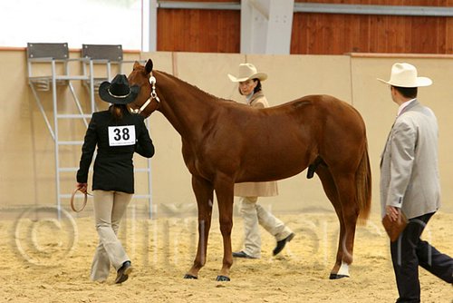 QH062_0246n.jpg