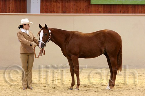 QH062_0247n.jpg