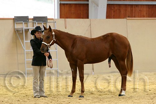 QH062_0248n.jpg