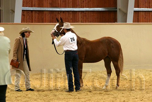 QH062_0249n.jpg