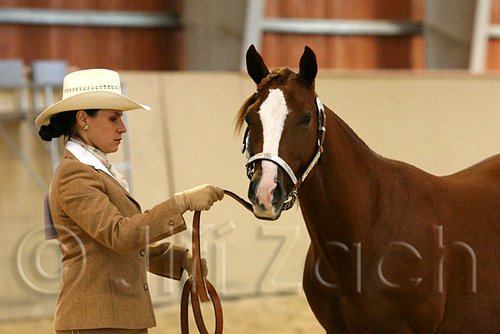 QH062_0253n.jpg