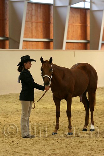 QH062_0254n.jpg