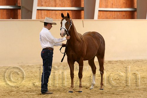 QH062_0255n.jpg