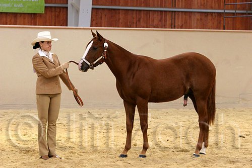QH062_0257n.jpg