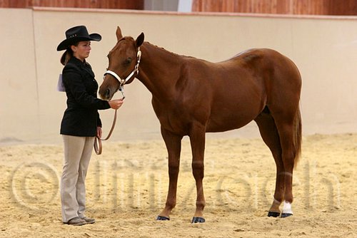 QH062_0258n.jpg
