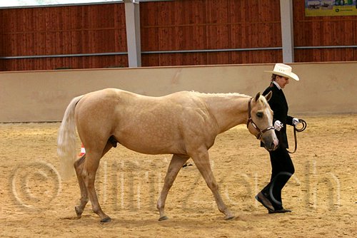 QH062_0267n.jpg