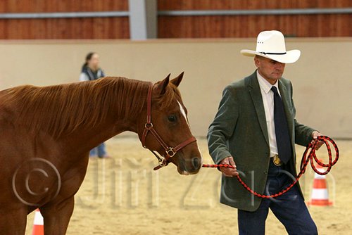 QH062_0268n.jpg