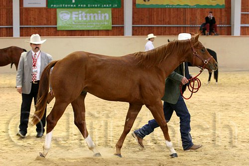 QH062_0269n.jpg