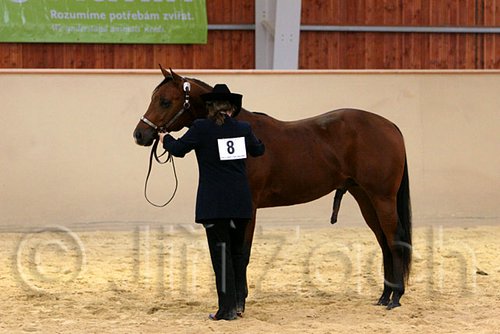 QH062_0270n.jpg