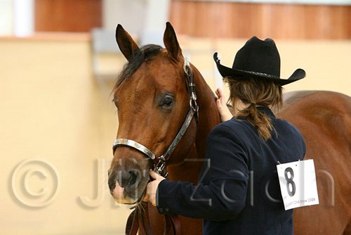 QH062_0272n.jpg