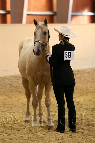 QH062_0273n.jpg