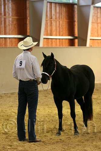 QH062_0274n.jpg