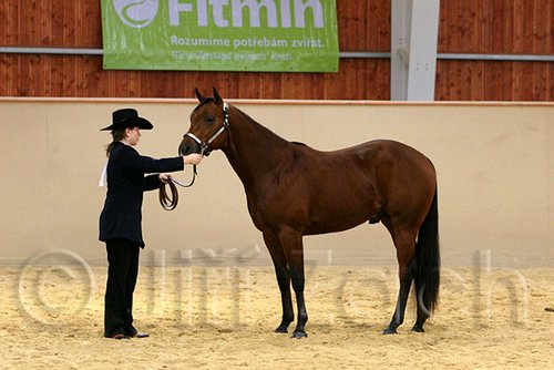 QH062_0275n.jpg