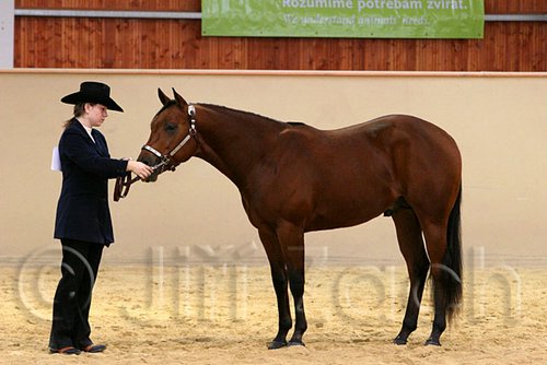 QH062_0276n.jpg