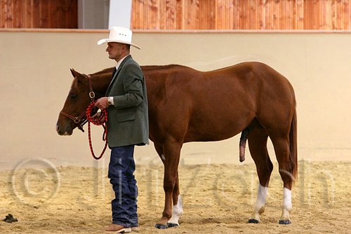 QH062_0277n.jpg
