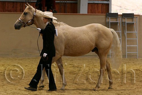 QH062_0279n.jpg