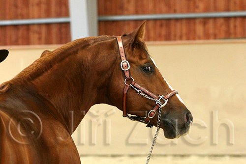 QH062_0280n.jpg