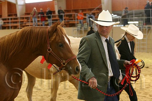 QH062_0285n.jpg