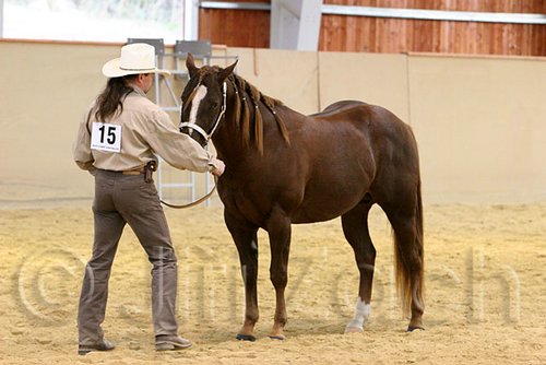 QH062_0288n.jpg
