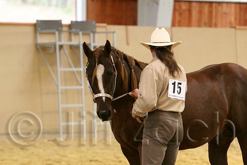 QH062_0290n.jpg