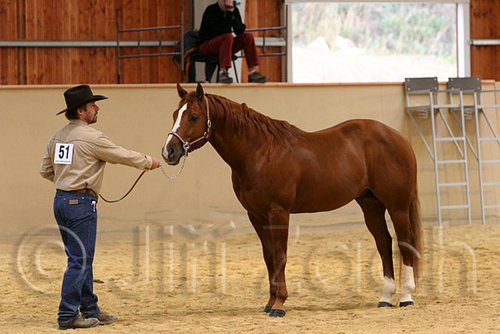 QH062_0291n.jpg