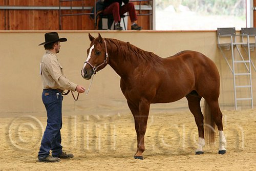 QH062_0293n.jpg
