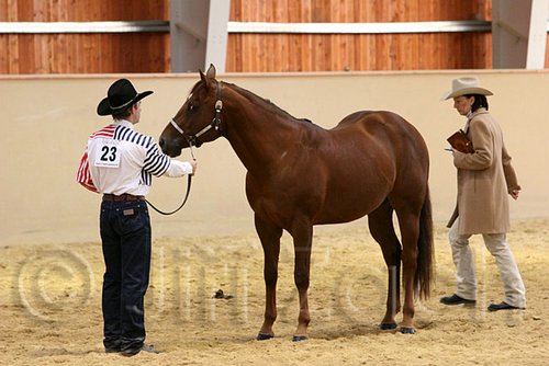 QH062_0294n.jpg