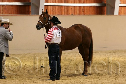 QH062_0295n.jpg