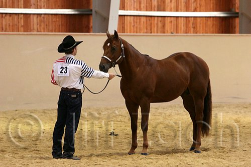 QH062_0297n.jpg